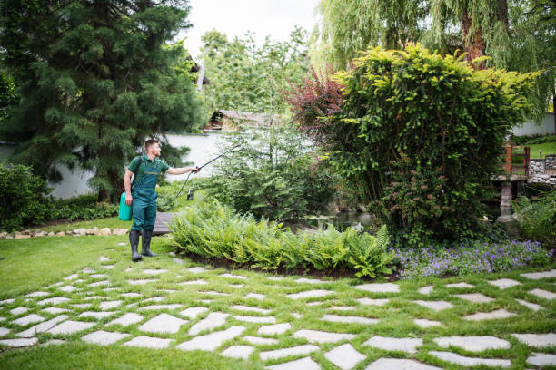 Best Arborist Consultation Services  in Lake Mills, WI