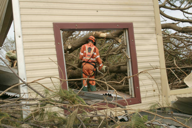 How Our Tree Care Process Works  in  Lake Mills, WI